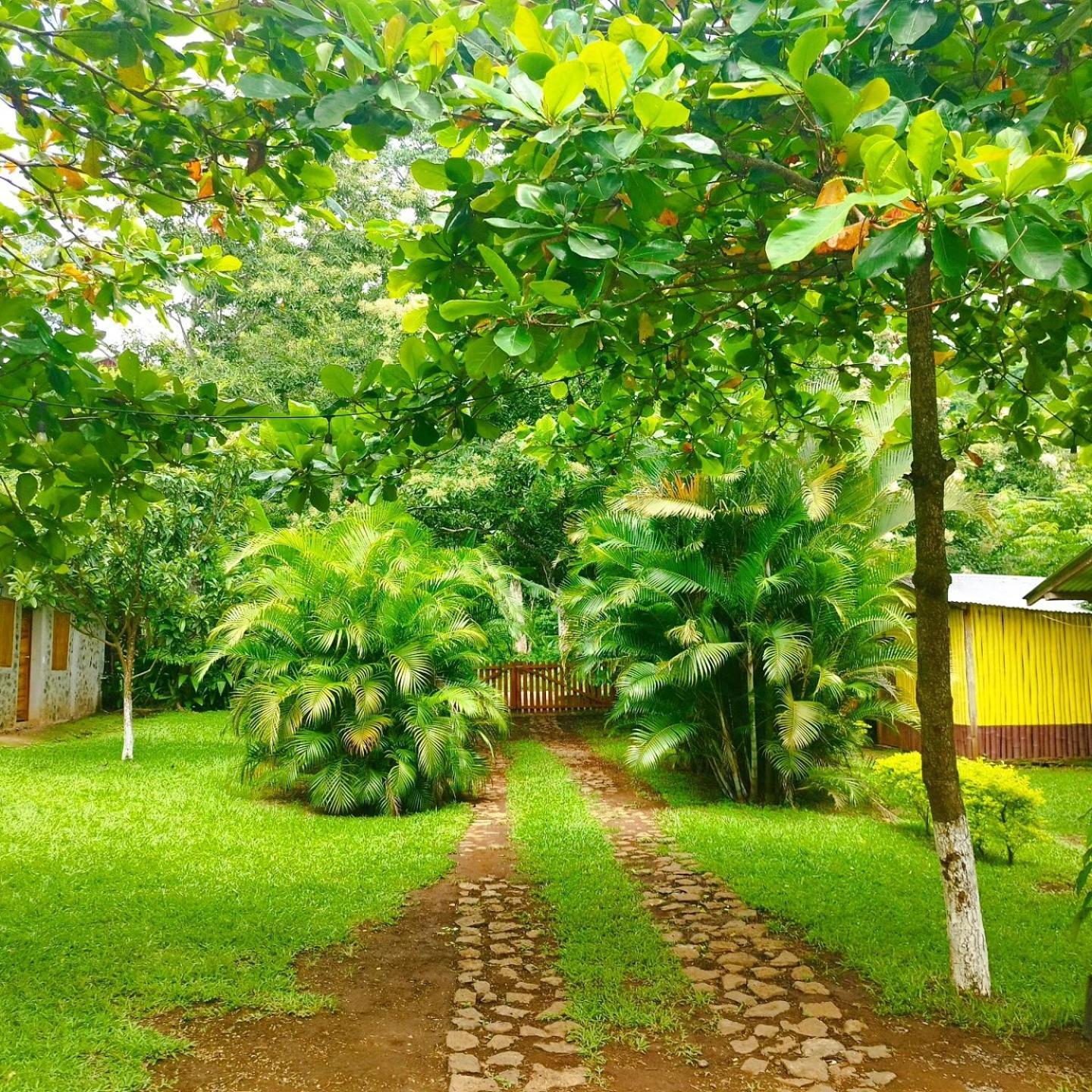 Cabanas Ixaya Catemaco Esterno foto
